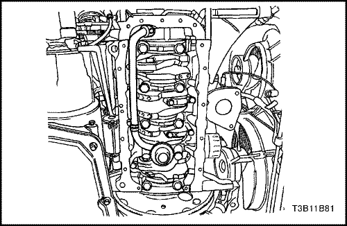 T3B11B81
