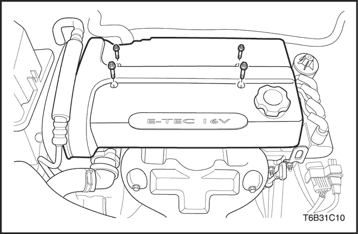 T6B31C10